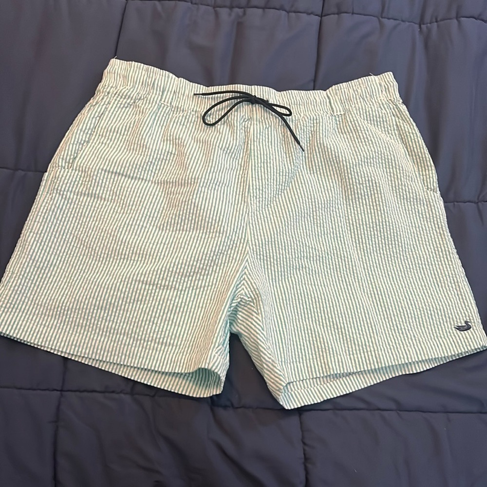 Men’s Southern Marsh Bathing Suit